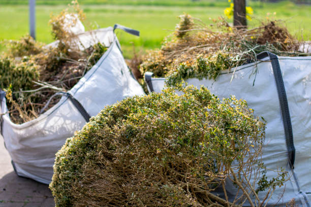 Best Dumpster Rental Services  in Derby, CT